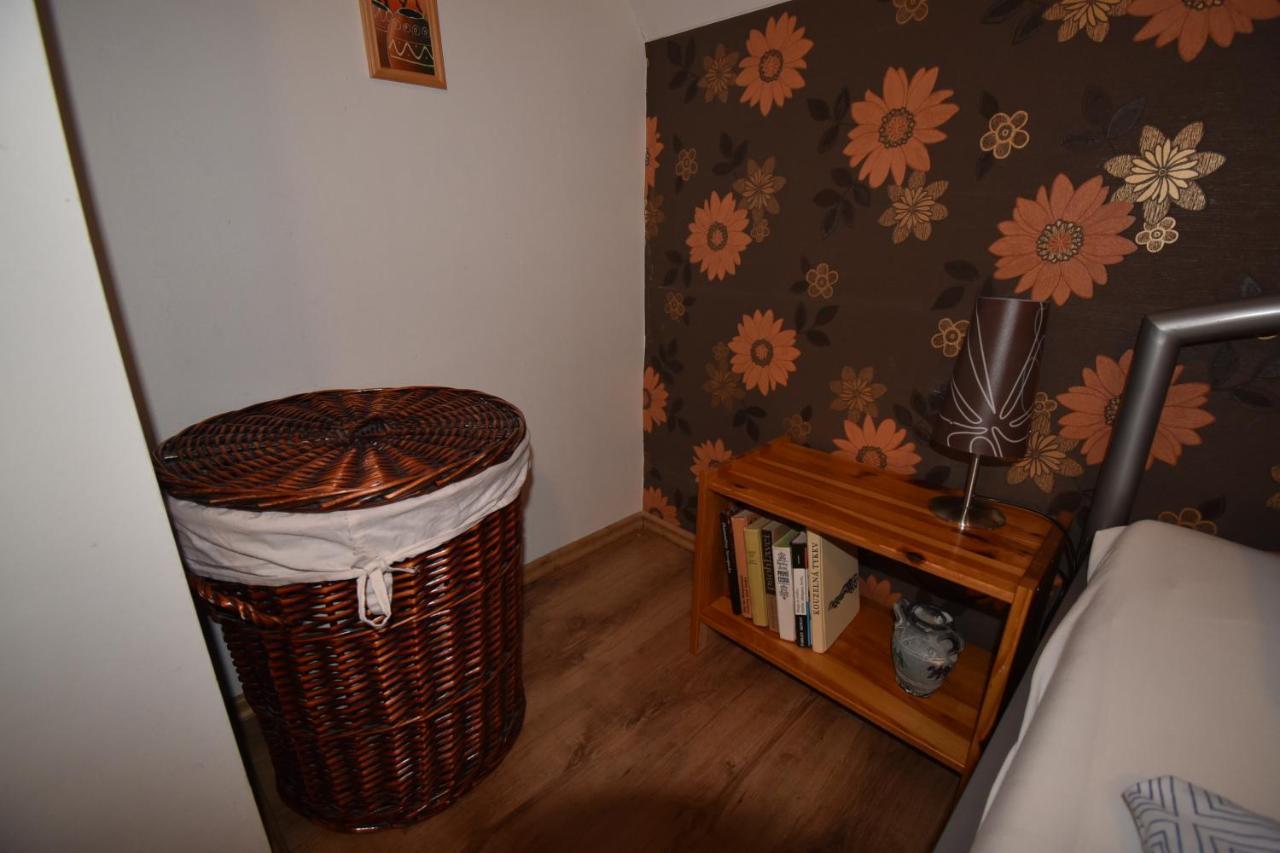 Apartmány Sněženka Destne v Orlickych horach Exterior foto